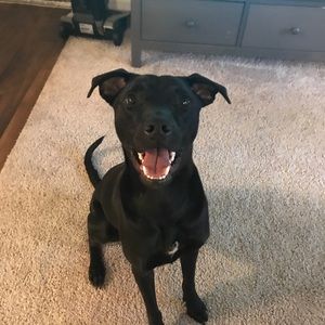 Meet your Posher, Daniel